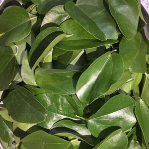 โสมผสมผง/อุดมไปด้วยสารอาหาร, เหมาะสำหรับชา/ทำในเวียดนาม - Product Image 2