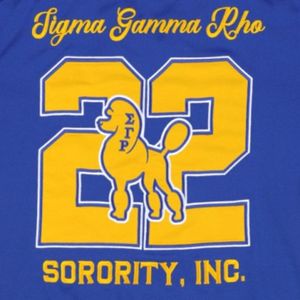 Sigma Gamma Rho SGRho Greek Sorority Blue Gold Camiseta de fútbol 100% Poliéster con logotipo de equipo Bordado en la parte delantera y trasera del hombro - Product Image 3