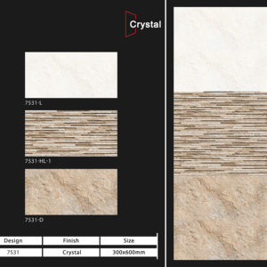 Carreaux muraux en céramique 300x600mm pour salle de bain et cuisine, finition brillante ou mate, texture effet sucre, solution murale. - Product Image 1