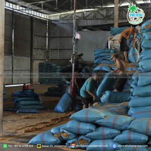 PRODUIT SUPÉRIEUR Coco Peat du Vietnam La solution ultime pour la rétention d'humidité et le développement sain des racines - Product Image 4