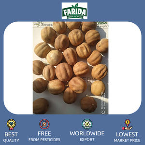 Cítricos frescos orgánicos de la mejor calidad, delicioso limón seco amarillo negro nutritivo, precio bajo, directo del principal exportador - Product Image 4