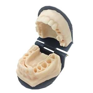 เครื่องมือผ่าตัดด้วยตนเอง747400071C43แบบจำลองการเย็บซิลิโคนสำหรับจัดฟันบริเวณขากรรไกรล่าง - Product Image 3