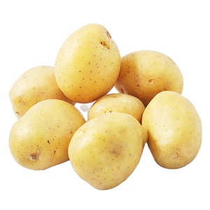 Vente en gros de pommes de terre fraîches de Hollande, 100% biologiques, chair jaune vif, haute qualité, prix par tonne, achat direct auprès du fabricant - Product Image 5