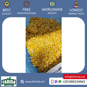 Maíz dulce congelado de calidad premium natural 100% a granel exportado a Egipto, mercado mayorista, precio competitivo suministrado - Product Image 5