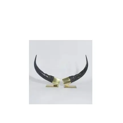 Juego de claxon decorativo de latón dorado, par de bocina moderna, soporte de latón dorado, para tallaje personalizado y bajo precio