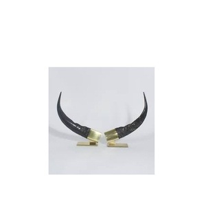 Paire de vaisselle en corne de buffle moderne, support en laiton doré, paire de corne de buffle pour taille personnalisée et prix bas - Product Image 1
