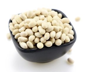 <b>NAVY</b> <b>BEANS</b> | VIETNAM ORIGIN | DRIED & UNBLEACHED | EXPORT QUALITY - Product Image 3