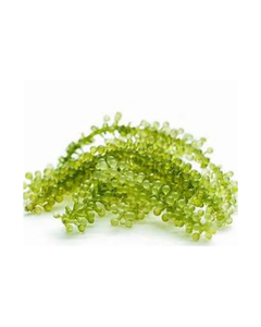 RAISINS DE MER PURS PLANTE MARINE NATURELLE RICHE EN MINÉRAUX ET NUTRIMENTS DE SOUTIEN IMMUNITAIRE - Product Image 1