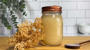 EXPAD Sea <b>Moss</b> Gel, Premium Organic 100% Natural Irish <b>Moss</b> Gel for Food and Cosmetic - Product Image 2