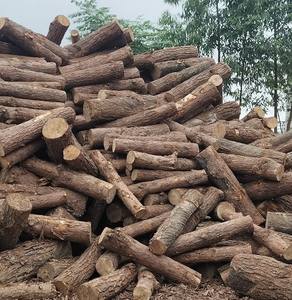 Vietnamese Common Wooden Piles for <b>Garden</b> <b>Decoration</b> and Accessories - Product Image 1