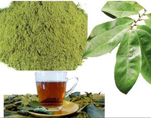 FABRICANTE DE VIETNAM DE POLVO DE HOJAS SOURSOP CON SUMINISTRO A GRANEL Y OPCIONES OEM - Product Image 2