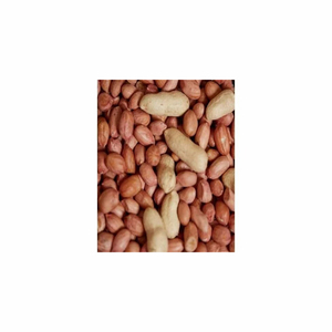 ถั่วลิสงอบแห้งออร์แกนิกเกรดสูงถั่วลิสงธรรมชาติปลอดสารพิษ - Product Image 4