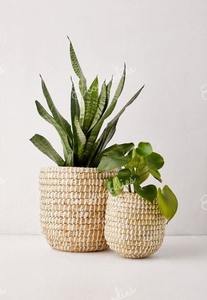 Elegante cesta de flores de mimbre de ratán, macetas y jardineras de bambú, juego de macetas grandes para exteriores con soporte para una hermosa decoración del hogar - Product Image 5