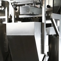 Balance linéaire automatique pour riz, machine d'emballage sous vide pour aliments et boissons, machine à poudre, acier inoxydable, haute résistance chimique, tabac