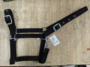 Custom Logo Equestrian Headstall Nylon Horse Racing <b>Halter</b> Comfortable Head Collar in All Colors Genuine Horse Genuine <b>Halter</b> - Product Image 3