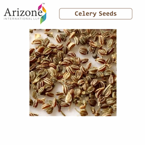 Cây Trồng Mới Nhất 100% Hạt Cần Tây Tự Nhiên Bán Buôn Từ Nhà Cung Cấp Ấn Độ Bán Buôn Giá Tốt Nhất - Product Image 3