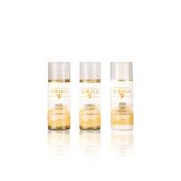 Kit de Molino de Aceite Cirulli