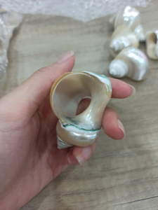 Anillos de Servilleta de Concha Marina de Vietnam Pulidos, Diseño Doris Moderno y Lujoso, Ecológico y Duradero para Mesa de Fiesta - Product Image 6
