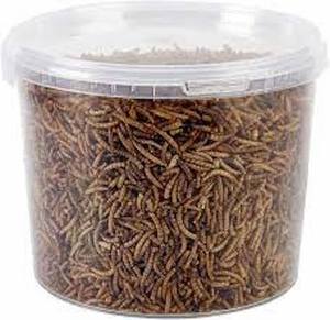 Vers de farine séchés pour oiseaux Poissons Lézards Araignées Geckos Friandises - Product Image 1