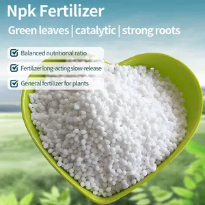 OEM Sales High Content Blue Color Npk Compound Fertilizer 15 15 15