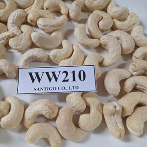 Offre Spéciale! Kaju Noix de cajou WW210 SANTIGO Noix et amandes Noix sèches Faible quantité minimale de commande - Product Image 1