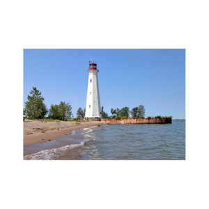 Tarifs imbattables pour les grandes quantités de bois de hêtre blanc de qualité supérieure de qualité A du Brésil pour les projets de menuiserie, grumes - Product Image 1