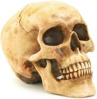 Figurine humaine en résine écologique pour modèle détachable, décoration nautique d'Halloween, taille personnalisée, colorée, Europe