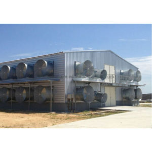 Chine prêt à l'emploi prépoutres i colonne construction volaille légère bâtiment de poulet - Product Image 2