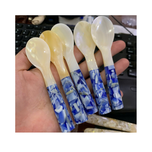 Cuchara de Nácar de Vietnam, Cuchara de Concha Pulida, Producto Artesanal de Alta Calidad, Pedido al por Mayor para Importadores Globales - Product Image 1