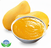 Premium kwaliteit natuurlijke Kesar mango pulp, verfrissend zoet, 100% puur, geconserveerd, 18 Brix, voedselkwaliteit, bulk, suikervrij, export
