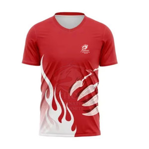 ZHOST Boys' Red <b>Flame</b> Heat-Transfer Printed Quick Dry 100% Cotton V-Neck Sports T-<b>Shirt</b> for Adults 220g - Product Image 1