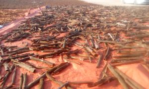 อบเชยจากรถราง - Product Image 4