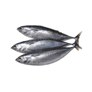<b>Tuna</b> Canned, Skipjack Canned <b>Tuna</b> Fish <b>In</b> <b>Oil</b> <b>Olive</b> <b>Oil</b> 85G Tripack - Product Image 2