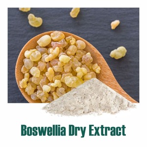 ผงสกัด Boswellia serrata สารละลายอายุรเวทสำหรับบรรเทาอาการตึงบวมและปรับปรุงการเคลื่อนไหว - Product Image 2