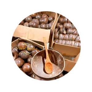 Meilleur prix Cuillère à noix de coco jetable écologique de haute qualité Viet Choice Made Viet Nam Vente entière Fabrication pour yaourt aux fruits - Product Image 5