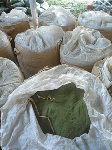 Poudre d'algues vertes authentique pour les acheteurs professionnels internationaux à la recherche d'ingrédients nutritifs pour les produits de santé naturels - Product Image 5