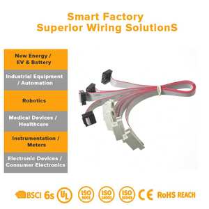 Produsen Profesional OEM untuk Kabel Listrik Otomotif dan Kabel Berinsulasi PVC untuk Sistem Mobil dan Kendaraan - Product Image 3