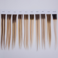 Échantillon populaire de cheveux vierges russes, couleur Balayage, pour coloration universelle, 51 couleurs, 100% cheveux humains, tissage à double trame