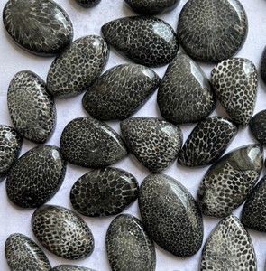 หินคริสตัลปะการังฟอสซิลสีดำอัญมณีหลวมละเอียดตามธรรมชาติสำหรับเครื่องประดับ - Product Image 4