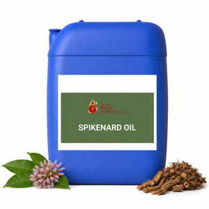 100% Pure & Natural Spikenard Essential <b>Oil</b> Steam Distilled Bulk Wholesale for Aroma <b>Diffuser</b> Spa Massage Skincare OEM ODM - Product Image 2