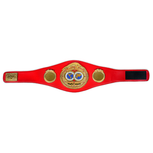 มวยปล้ำเข็มขัดแชมป์ฟุตบอล WWE World heavyweight wex เข็มขัดแชมป์มวยปล้ำออกแบบได้ตามต้องการ - Product Image 4