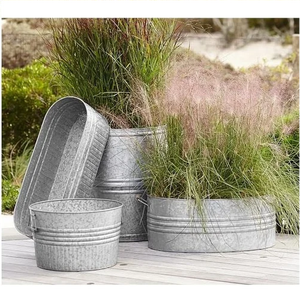 Maceta de Metal de precio barato indio, suministros para el hogar y el jardín, maceta con acabado rústico, maceta decorativa única, formas personalizadas - Product Image 2