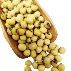 Gốc USA đậu nành/giá rẻ giá Đậu Nành Đậu tốt nhất bán đậu nành hạt giống Đậu - Product Image 1