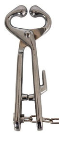 Instrument vétérinaire produits de porte-taureaux de haute qualité en acier inoxydable 19cm avec chaîne 34cm porte-taureaux - Product Image 2