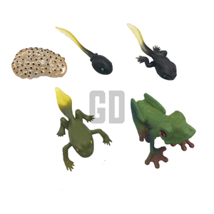 วงจรการเจริญเติบโตของกบต้นไม้ตาแดงค้นพบการเปลี่ยนแปลงของสิ่งมหัศจรรย์ที่มีชีวิตชีวาของธรรมชาติ! - Product Image 1