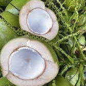Verse jonge Thaise kokosvlees-sap – zoet en hydraterend voor smoothies, culinaire toepassing of rechtstreeks uit de bron consumptie.