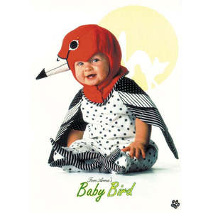 Tarjeta postal novedosa de Tom Arma Baby con un diseño temático de aves - Product Image 1