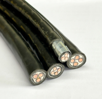 Câble d'alimentation de sortie d'usine 0.6/1KV YJV 5 noyaux 16mm 25mm 35mm 50mm câbles gainés en PVC noir fils 600/1000V
