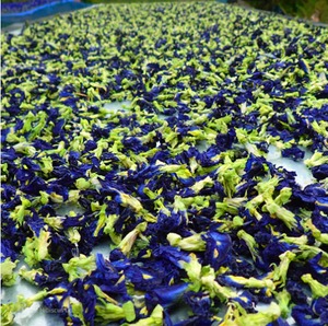 Premium Dried <b>Butterfly</b> Pea Flowers Vibrant Basic Color for Culinary Creations-<b>Teas</b> Desserts Vietnamese Herbs Top Agriculture - Product Image 5