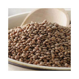Bulk <b>lentil</b> seeds available at competitive prices ideal for wholesalers and exporters - Product Image 6